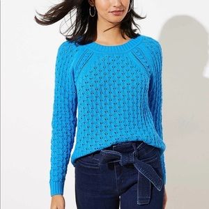 Loft turquoise cotton sweater XSP